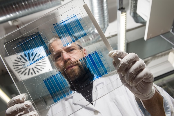 MPI_Proteinanalyse_gr MPI_Proteinanalyse_gr